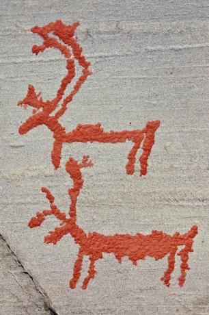 Petroglifos de renos del fiordo de Alta
