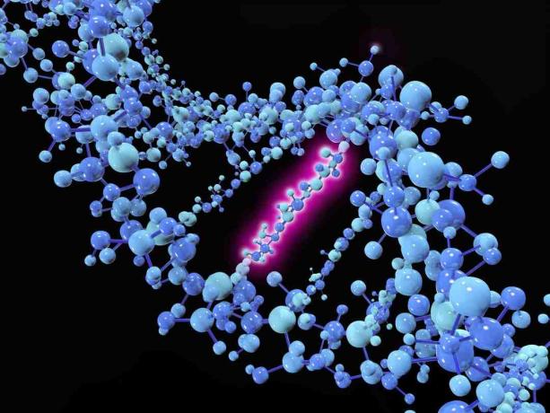 Una mutación puntual es una mutación genética en la que se cambia, inserta o elimina una única base de nucleótidos de una secuencia de ADN o ARN.