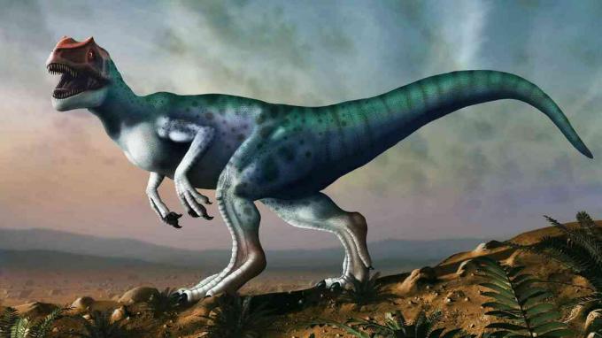 Ilustración de Allosaurus