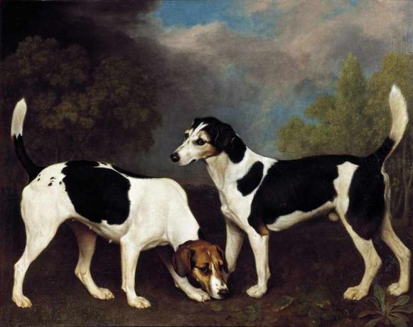 george stubbs pareja de perros fox