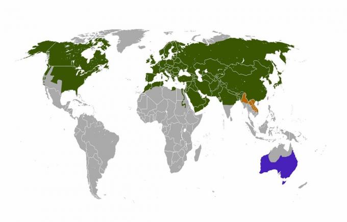 Distribución del zorro rojo