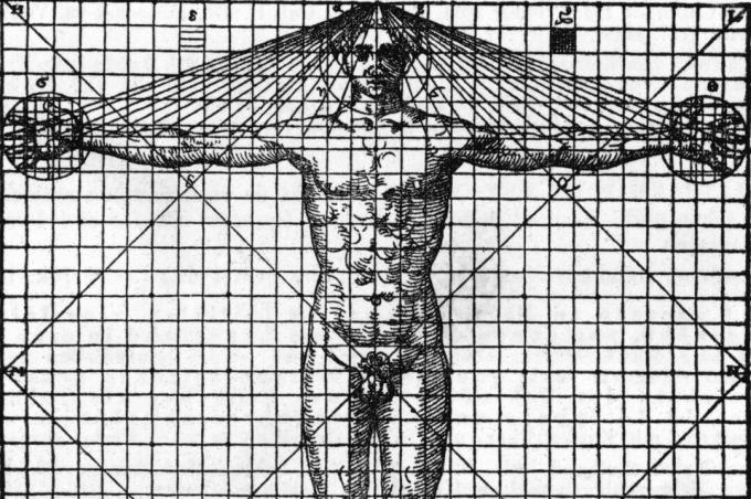 Ilustración en blanco y negro del frente del hombre humano en un gráfico con líneas que muestran simetría y proporción