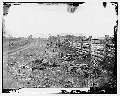 Confederados muertos en Antietam