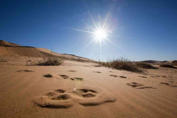 Dunas de arena contra el cielo azul y el sol brillante