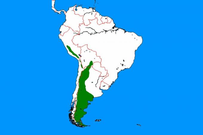 Mapa de la gama guanaco