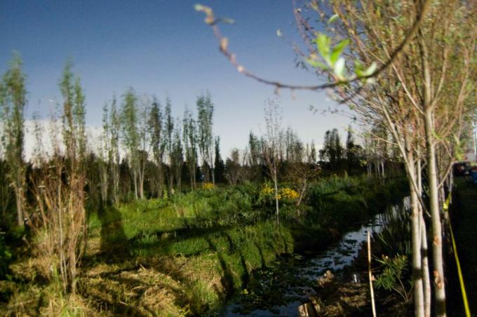 Escena del campo de Chinampa, Xochimilco