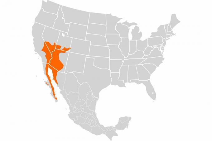 Mapa de la gama Chuckwalla común.