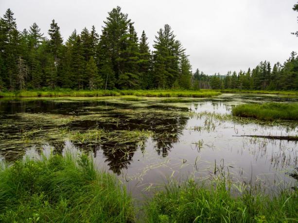 Monumento Nacional Katahdin Woods and Waters
