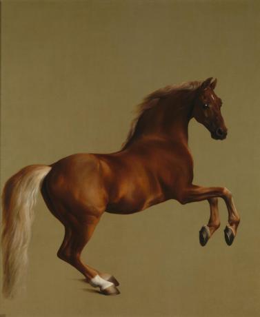 chamarra de felpa george stubbs