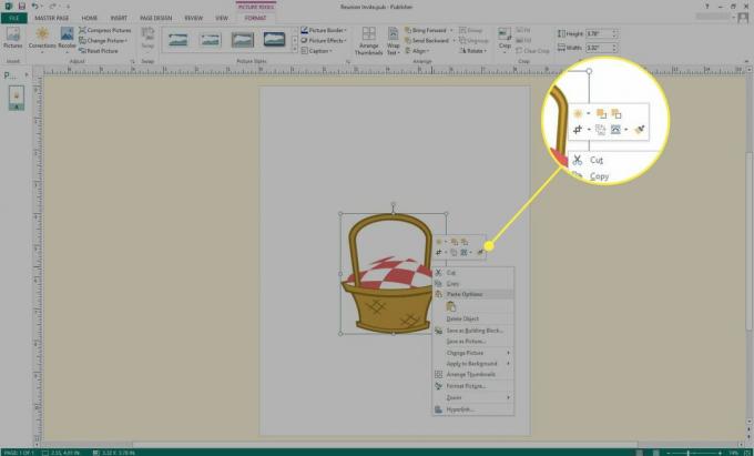 Una captura de pantalla de Microsoft Publisher con las opciones de imagen resaltadas