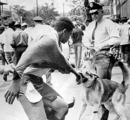 Un manifestante afroamericano atacado por un perro policía durante manifestaciones contra la segregación, Birmingham, Alabama, 4 de mayo de 1963.