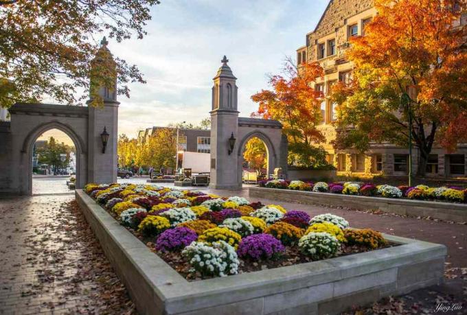 Amo mi escuela, especialmente en otoño - Universidad de Indiana en Bloomington