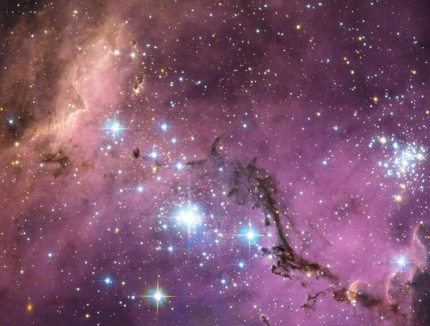 Una porción de la Gran Nube de Magallanes que muestra sus muchos grupos y sus líneas de gas y polvo en un contexto de nebulosa.