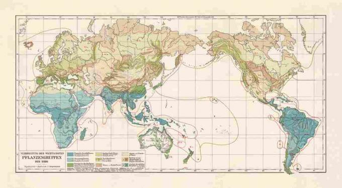 Zonas de vegetación del mundo, litografía, publicada en 1897