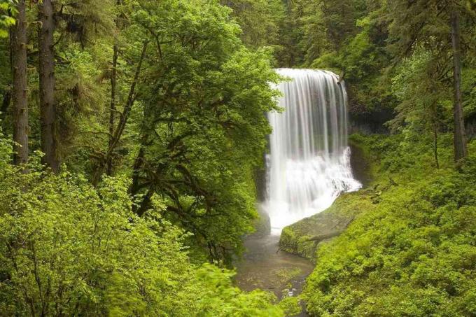 Cascada de Middle North Falls