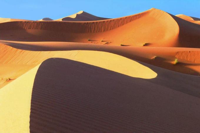 el desierto del Sahara