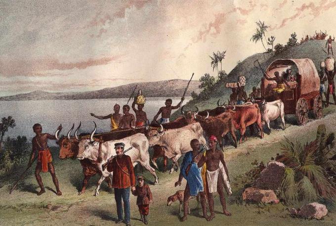circa 1855: llegada del explorador británico David Livingstone y fiesta en el lago Ngami.