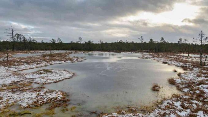 Turba estonia Bog Lake en invierno