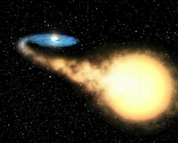 agujero negro de masa estelar