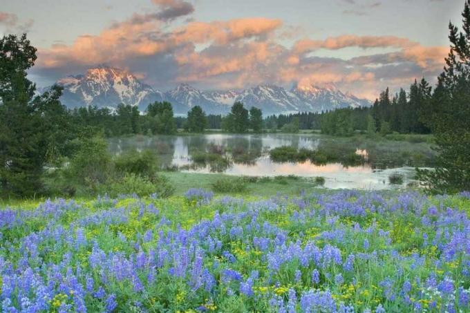 Parque nacional Grand Teton