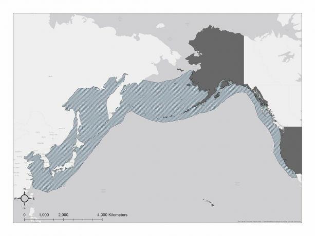 MI. distribución de delfines