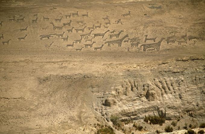 Chile, Región I, Tiliviche. Geoglifos en la ladera de una montaña cerca de Tiliviche, norte de Chile- representaciones de llamas y alpacas