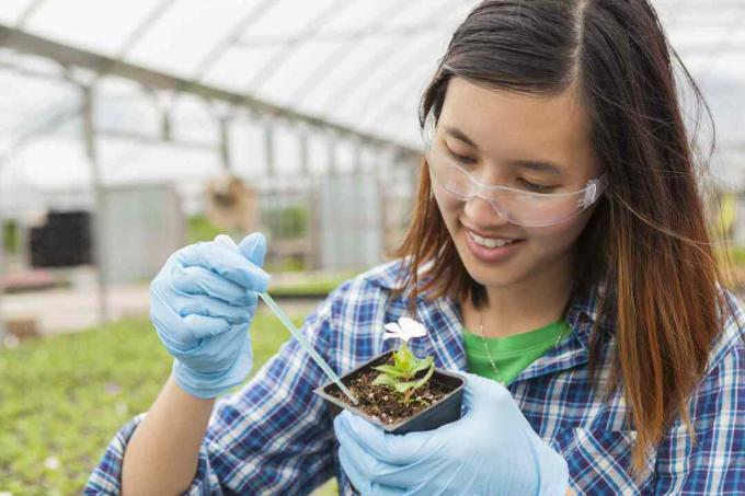 Estudiante universitario asiático trabajando en botánica