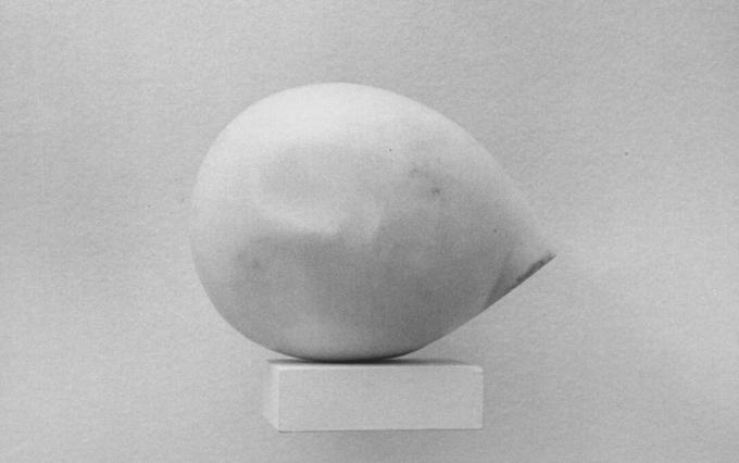 Constantin Brancusi jefe de Prometeo