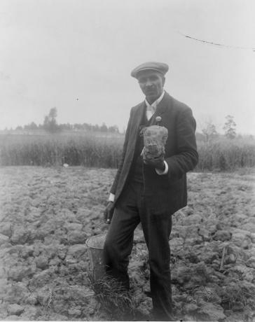 George Washington Carver, retrato de cuerpo entero, de pie en el campo, probablemente en Tuskegee, sosteniendo un pedazo de tierra, 1906