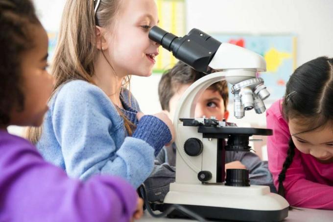 Cuatro niños realizan un experimento científico, usando un microscopio para hacer observaciones