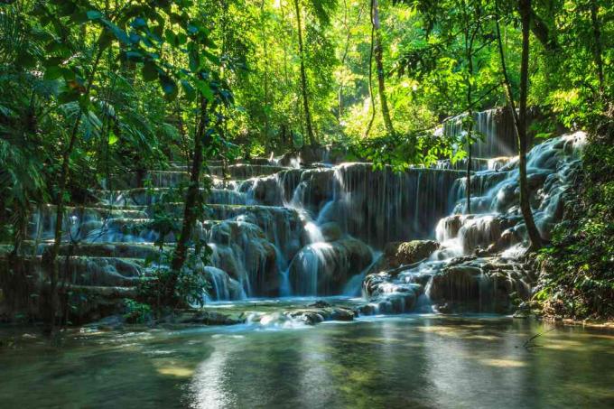 Cascada natural y cascadas cerca de Palenque