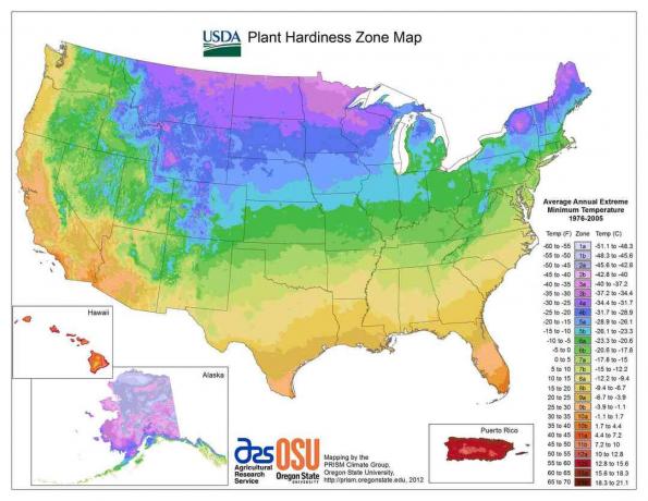 Mapa de zonas de resistencia de plantas de EE.