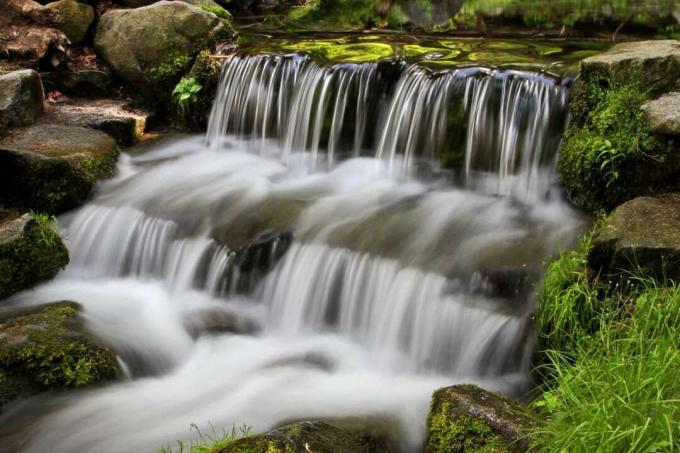 Cascada de Fern Spring