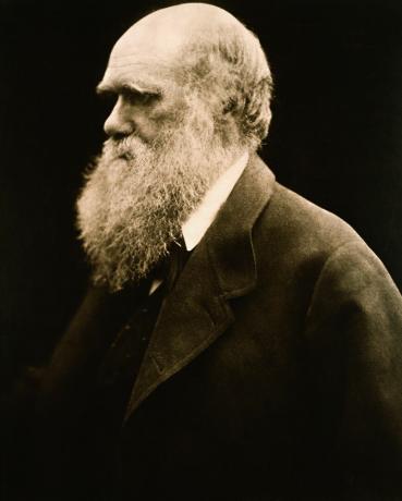 Retrato de Charles Darwin por Julia Margaret Cameron