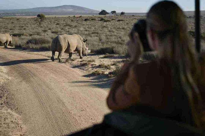 Pareja en viaje de safari con guía turístico, tomando fotos de rinocerontes en un vehículo 4x4