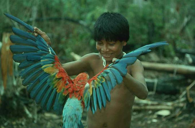 Un niño y su guacamayo