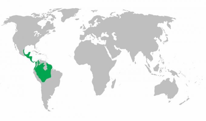 Mapa de distribución del mono araña